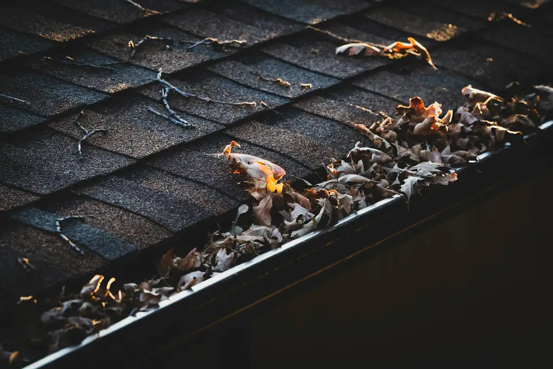 Gutter clogged with leaves